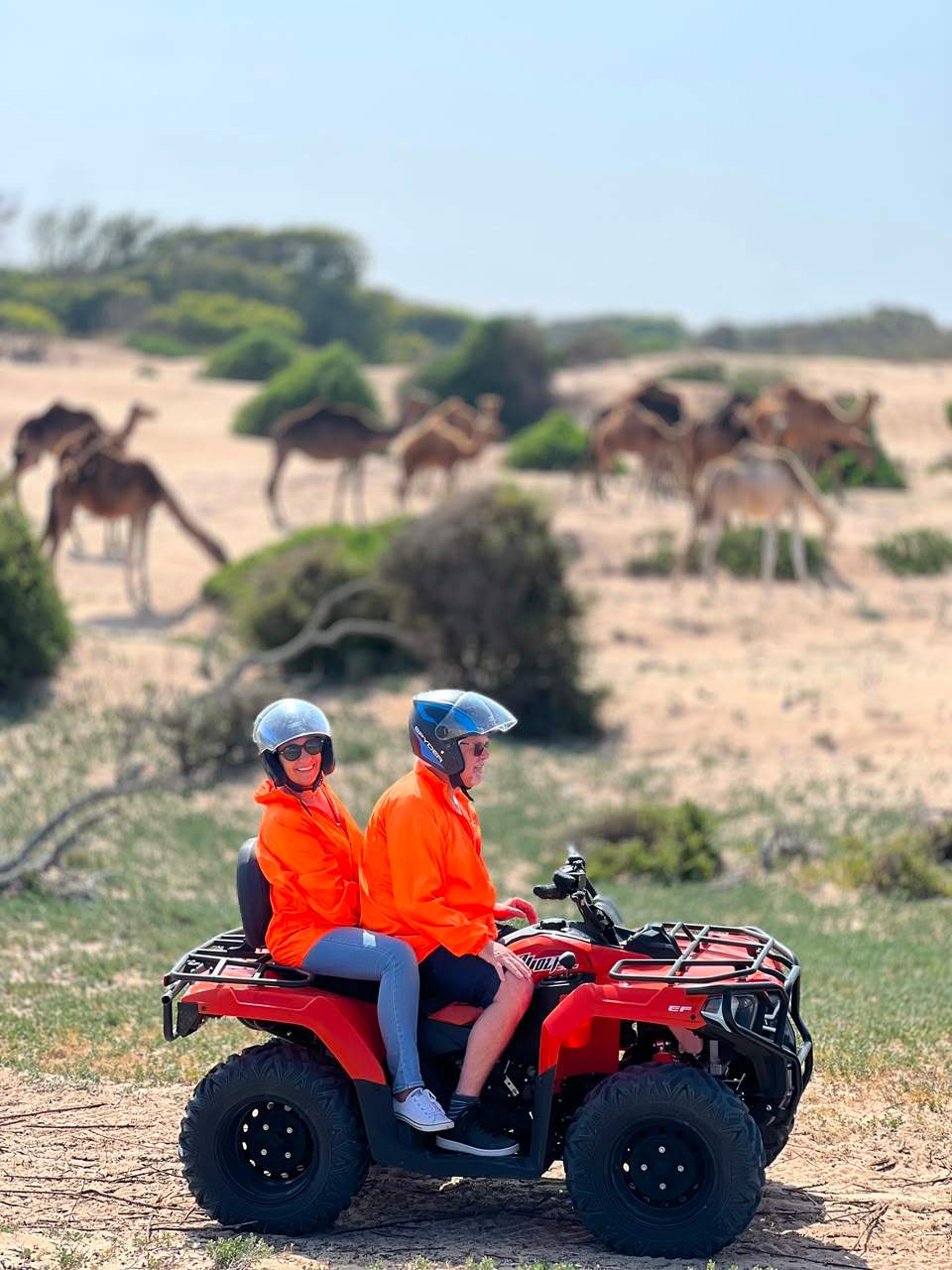 Quad-Touren — Entdecken Sie die geführten Quad-Touren von Mogaquad in Essaouira mit Start in D — photo 2