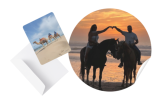 Design sans titre (8) https://mogaquad.com/wp-content/uploads/2024/11/Design-sans-titre-8-320x200.png